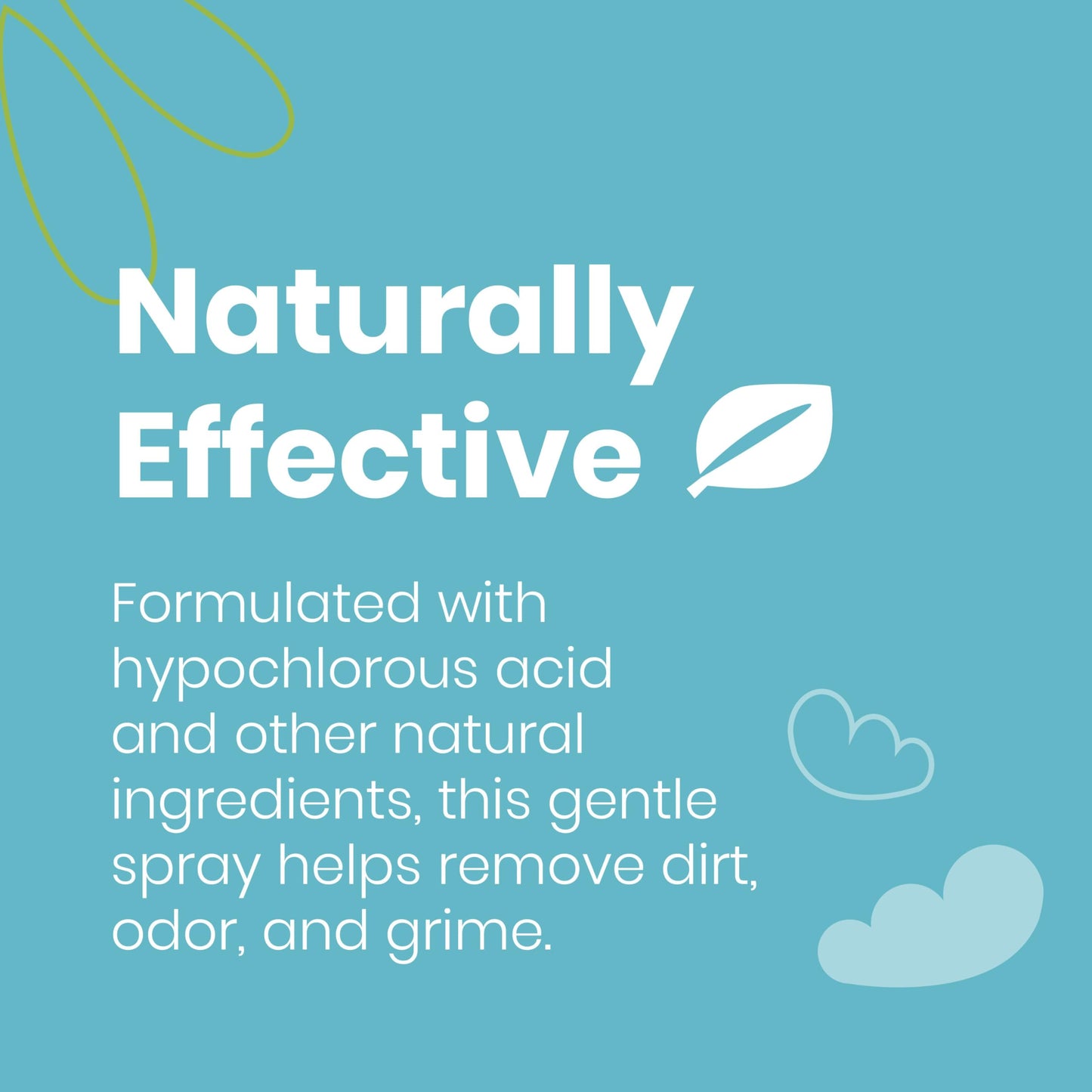 Good Salt Pet Bird Feeder & Birdhouse Cleaner, Natural Bird-Friendly Spray Formula, Made in the USA, 32 Ounce Bottle