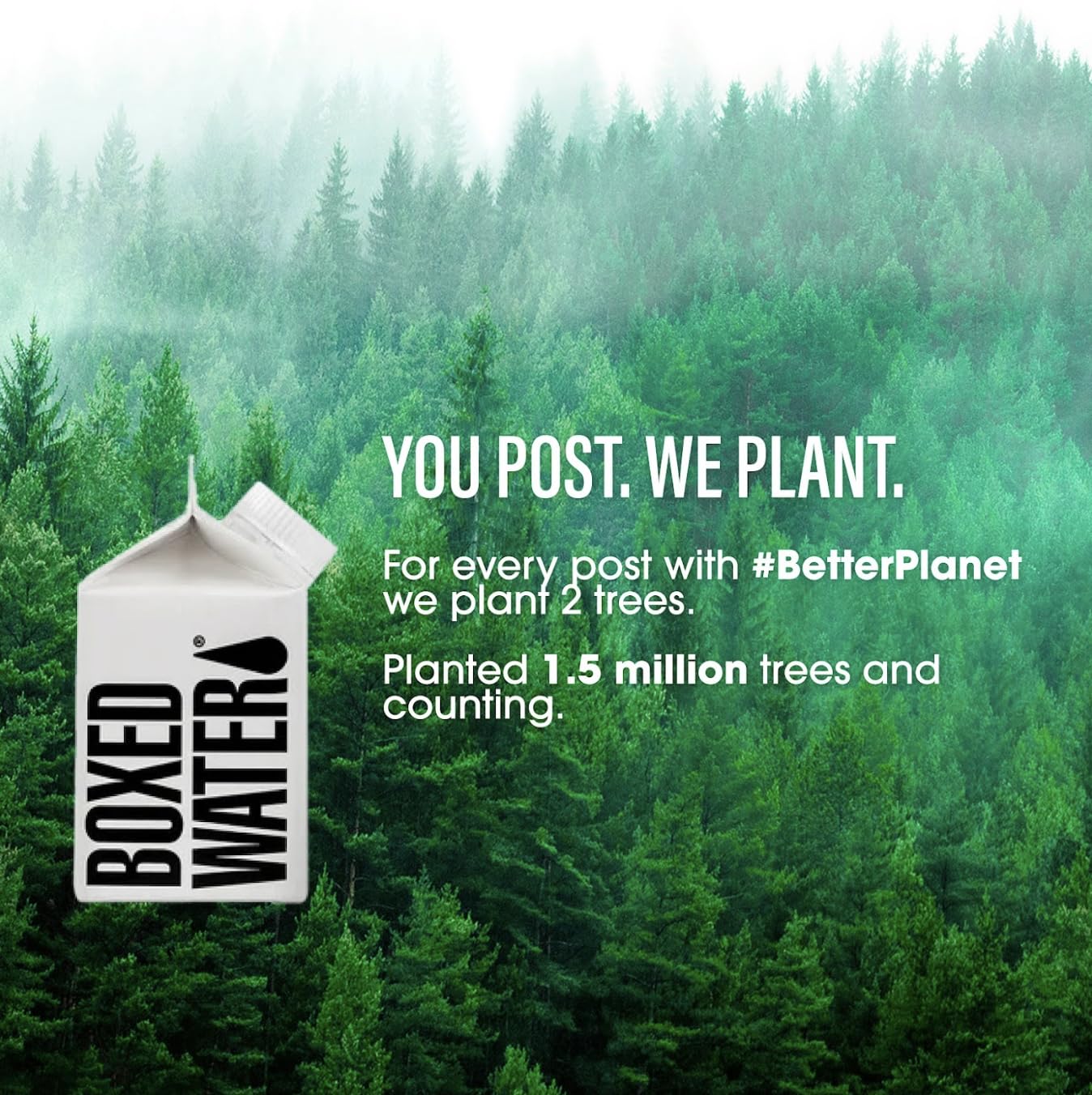 Mini Boxed Water (8.4 oz., 24 Pack) - Better Than Premium Plastic Purified Drinking Water in Plant-Based Cartons, BPA-Free, Refillable Cartons