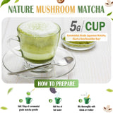 Mushroom Matcha Powder, Japanese Ceremonial Matcha Infused With 7 Superfood Mushrooms, MCT Oil, Coconut Milk Powder, Natural, Gluten Free, Taste Great