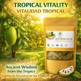 Guanábana (Soursop) Herbal Tea - 3.5 oz (100 g) Dried Leaves - 100% Natural, Vegan, Non-GMO, Sugar-Free, Caffeine-Free - Antioxidant-Rich Herbal