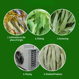 Dried Eucalyptus Leaves - 4oz (114g) Whole Leaf | Resealable Pouch | Botanical Ingredient for Aromatherapy & Tea Blends | Caffeine-Free Plant Material