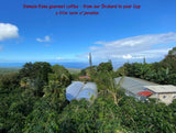 100% Kona Coffee PEABERRY - Whole Bean, Almost Dark roast, Single estate gourmet coffee, 16 ounces, ships direct from Domain Kona Coffee, farm fresh