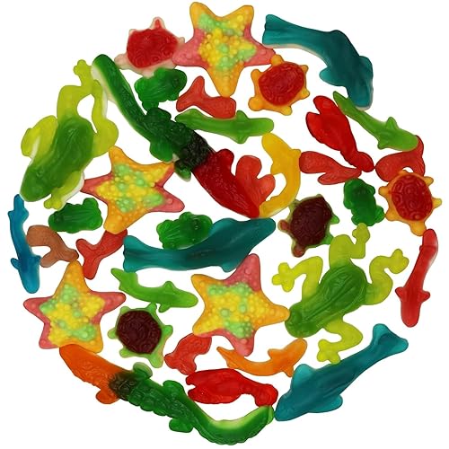 Smarty Stop Sea Collection Gummy Candy 1 Pound (Pack of 1)
