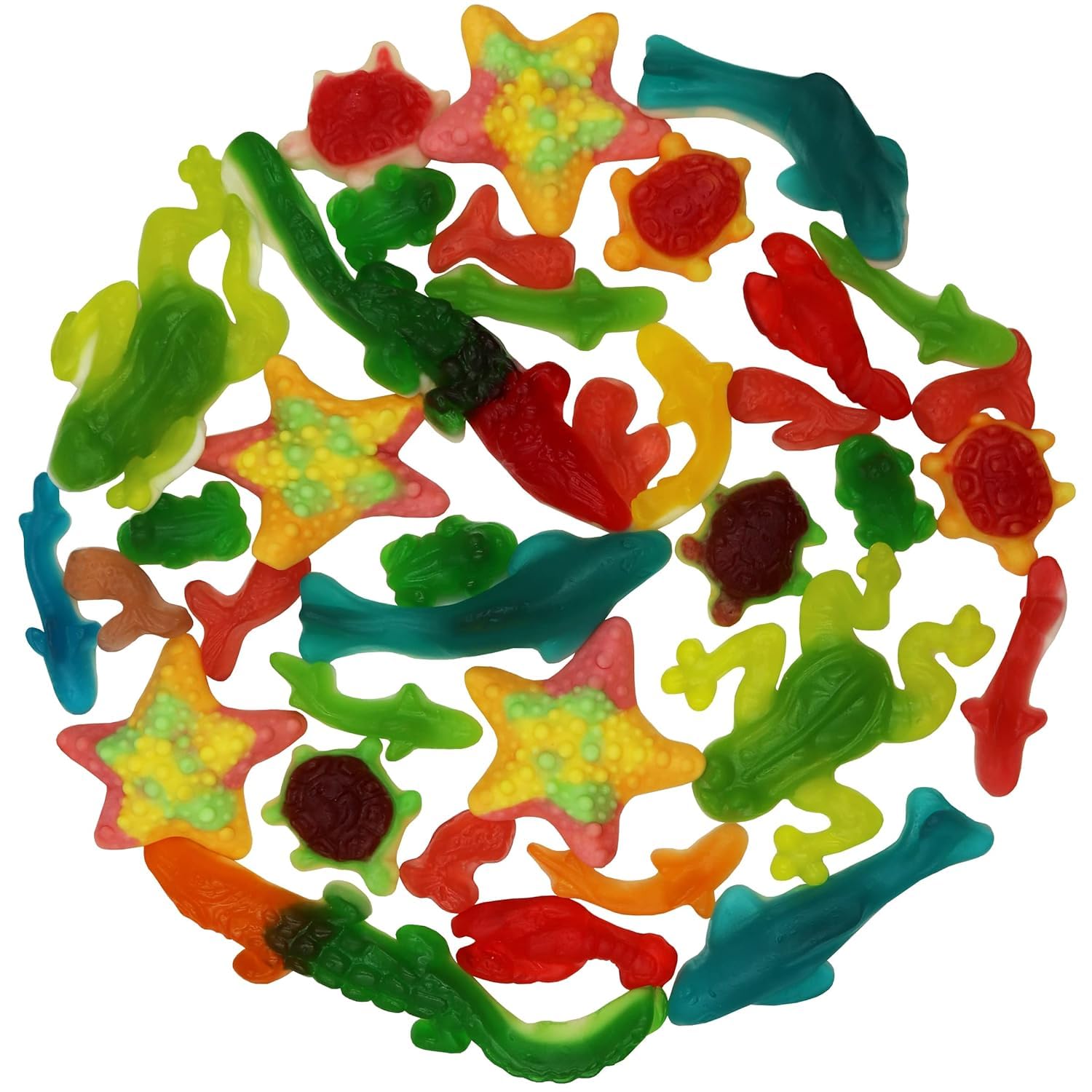 Smarty Stop Sea Collection Gummy Candy 1 Pound (Pack of 1)
