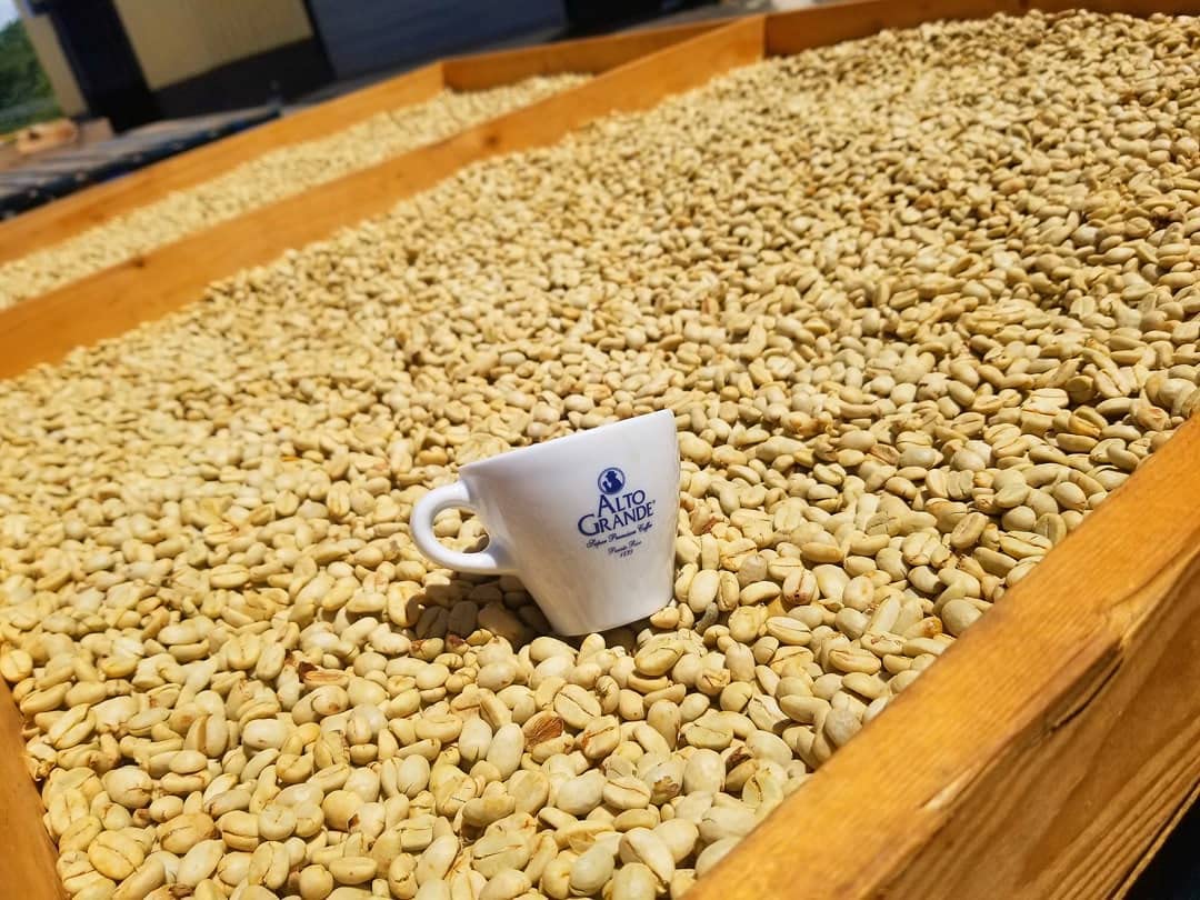 Alto Grande Medium-Dark Roast and Yaucono Medium Roast, Whole Bean Coffee, one bag of each, 2 Pound (Pack of 2)