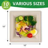 TreeTute 10 Inch Compostable Square Paper Plates [125-Pack], Disposable Biodegradable Bagasse Plates | Heavy-Duty | Eco-friendly | Large Dinner Plates