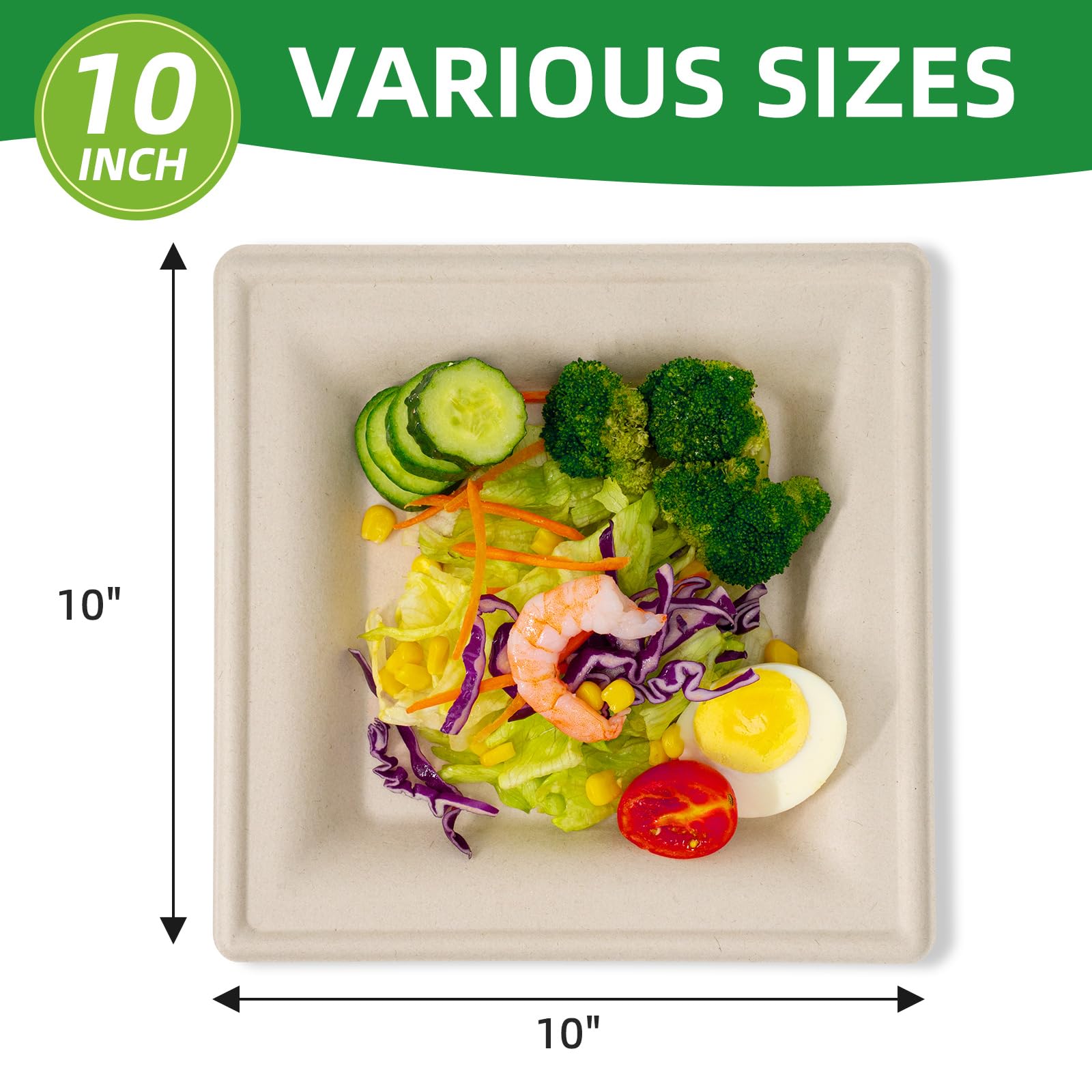 TreeTute 10 Inch Compostable Square Paper Plates [125-Pack], Disposable Biodegradable Bagasse Plates | Heavy-Duty | Eco-friendly | Large Dinner Plates