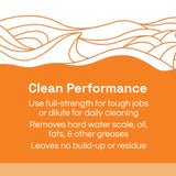 Clean Republic Heavy-Duty Degreaser, Multi-Surface Cleaner for Ovens, Stove Tops, Grills, and More, 1 Gallon Bottle