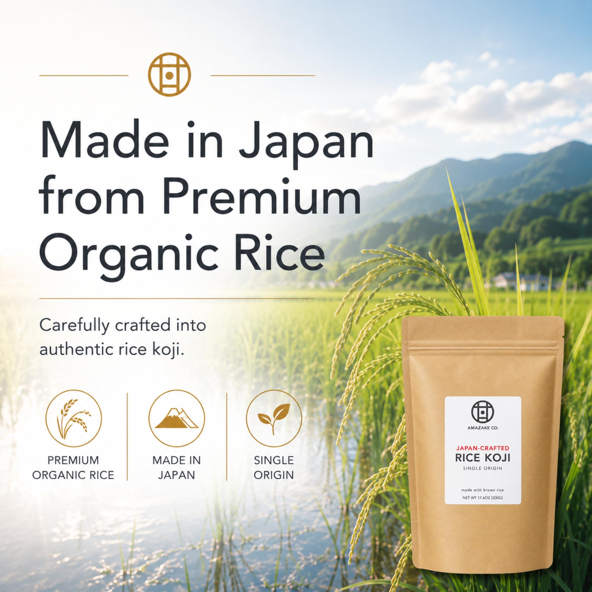 Amazake Co. Rice Koji, Japan-Crafted Dried Brown Rice Koji, Made with Organic Brown Rice, 17.6 oz (500g)