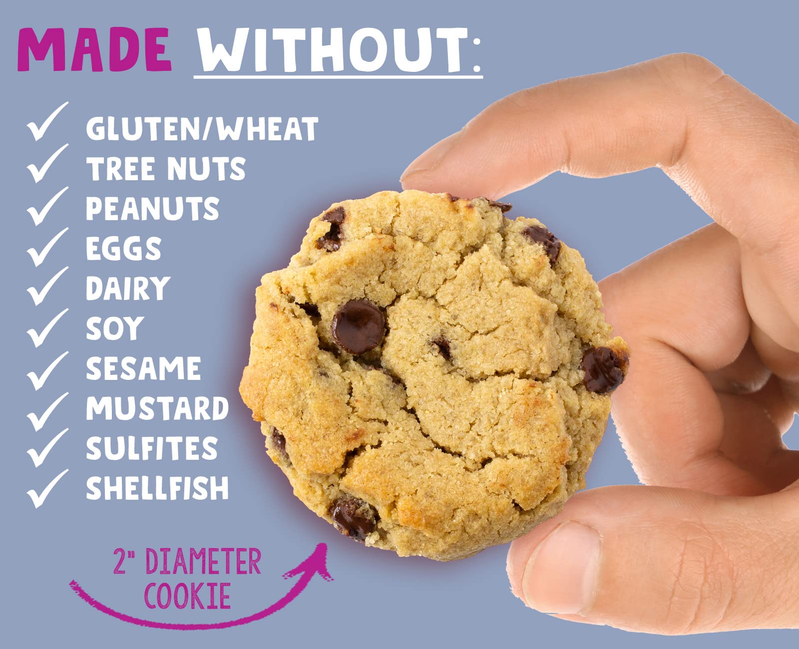 Allergy Smart Chocolate Chip Cookies, 140 GR