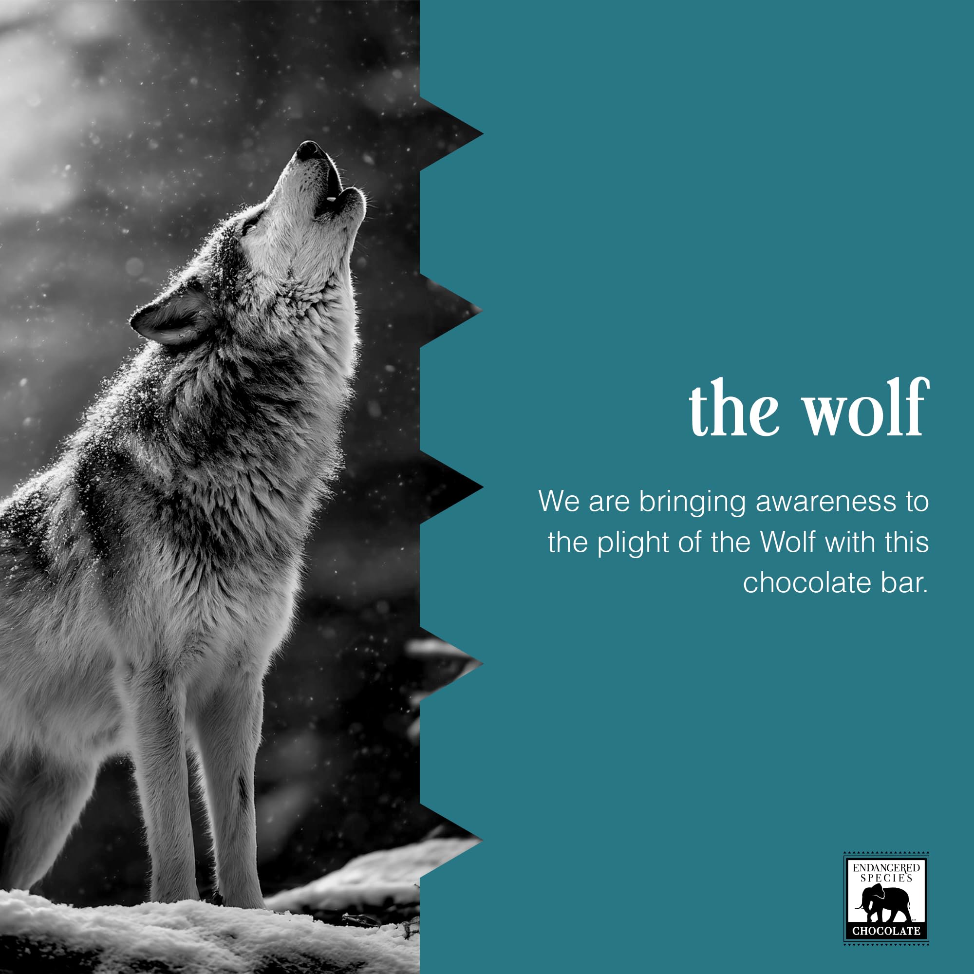 Endangered Species Dark Chocolate Bar w/Cranberries & Almonds (72% cocoa)