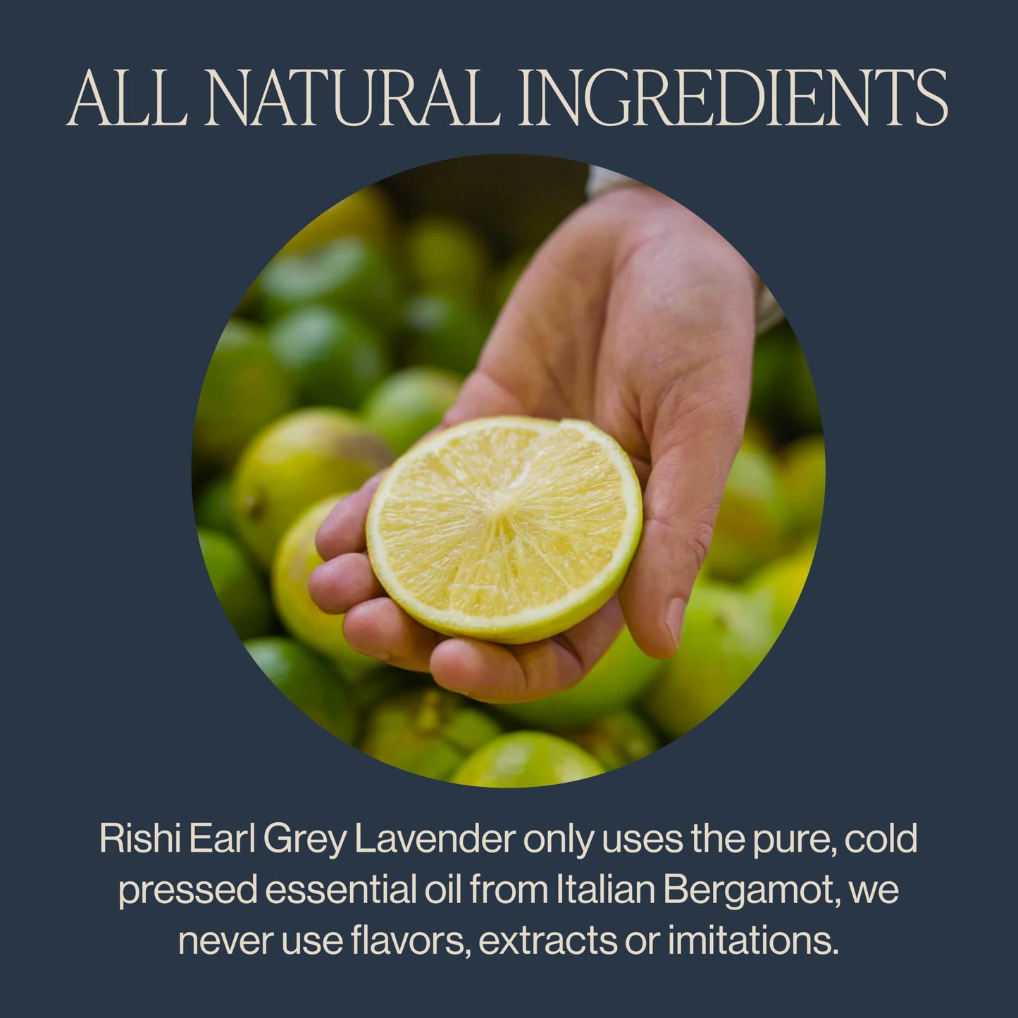 Rishi Tea Earl Grey Lavender Loose Leaf Pure Black Tea - Organic with Bergamot Oil and Lavender Flowers, Energizing & Caffeinated - 4 Ounces, 12+