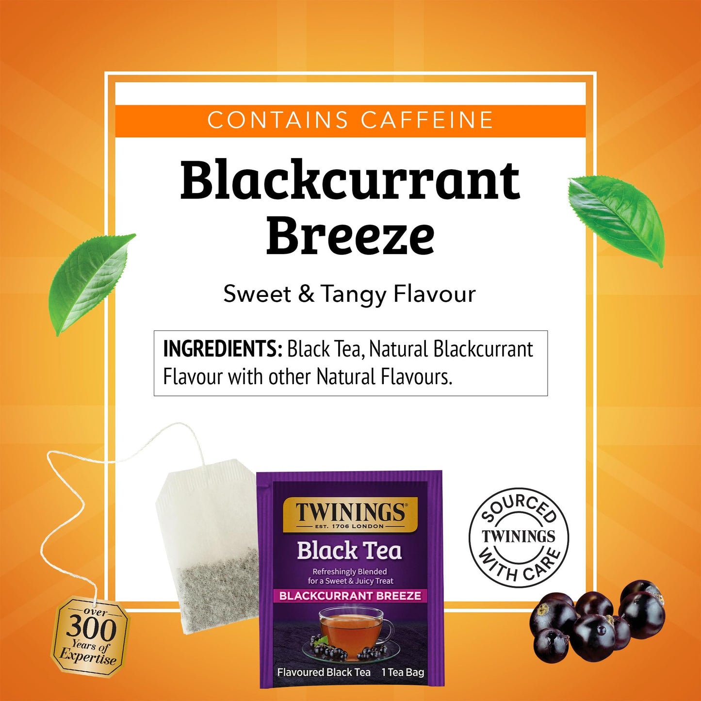 Twinings Blackcurrant Breeze Black Tea Individually Wrapped Bags, 100 Count (Pack of 1), Sweet, Tangy Taste, Caffeinated, Enjoy Hot or Iced, 100