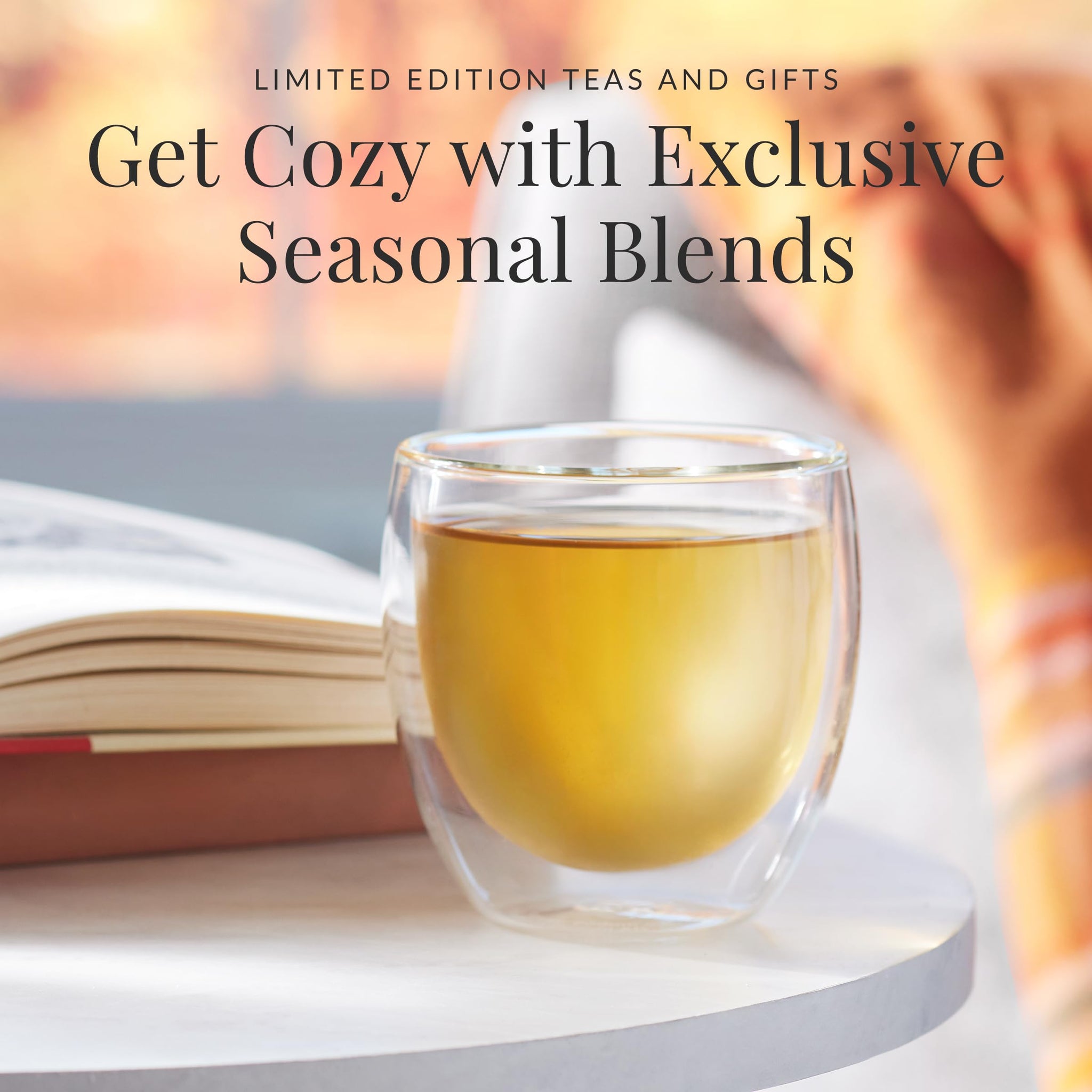 The Republic of Tea - Pumpkin Pie Chai Herbal Tea Tin, 36 Naturally Caffeine-Free Tea Bags