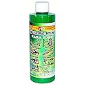 1 PC ALL PURPOSE PARA TODO BATH & FLOOR WASH 8 OZ - SPIRITUAL MYSTICAL
