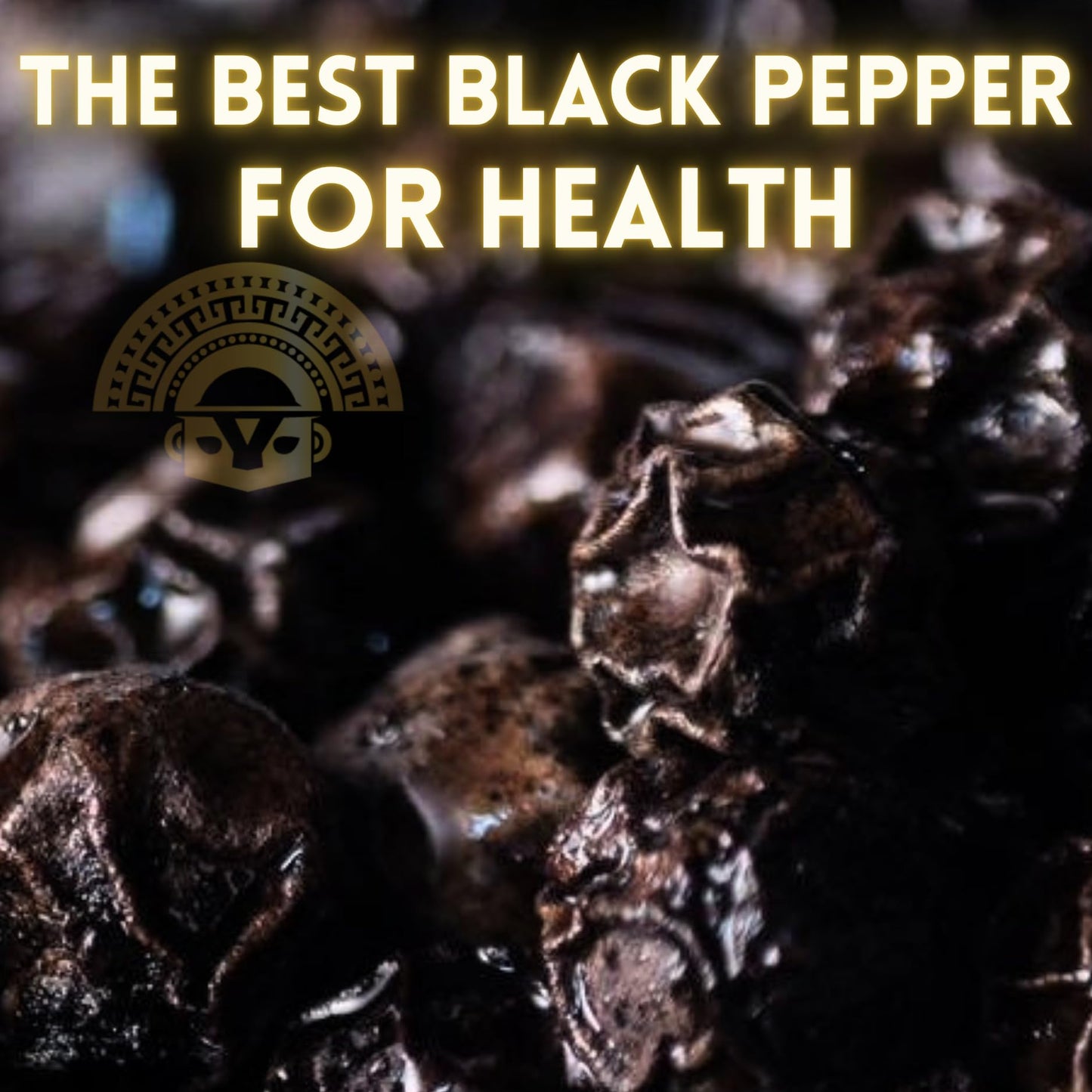 Yupanqui CULTURED BLACK Pepper Family Reserve Fermented Black Peppercorns Whole Gourmet Peppercorns for Grinder Refill Dawn Roasted Peppercorns