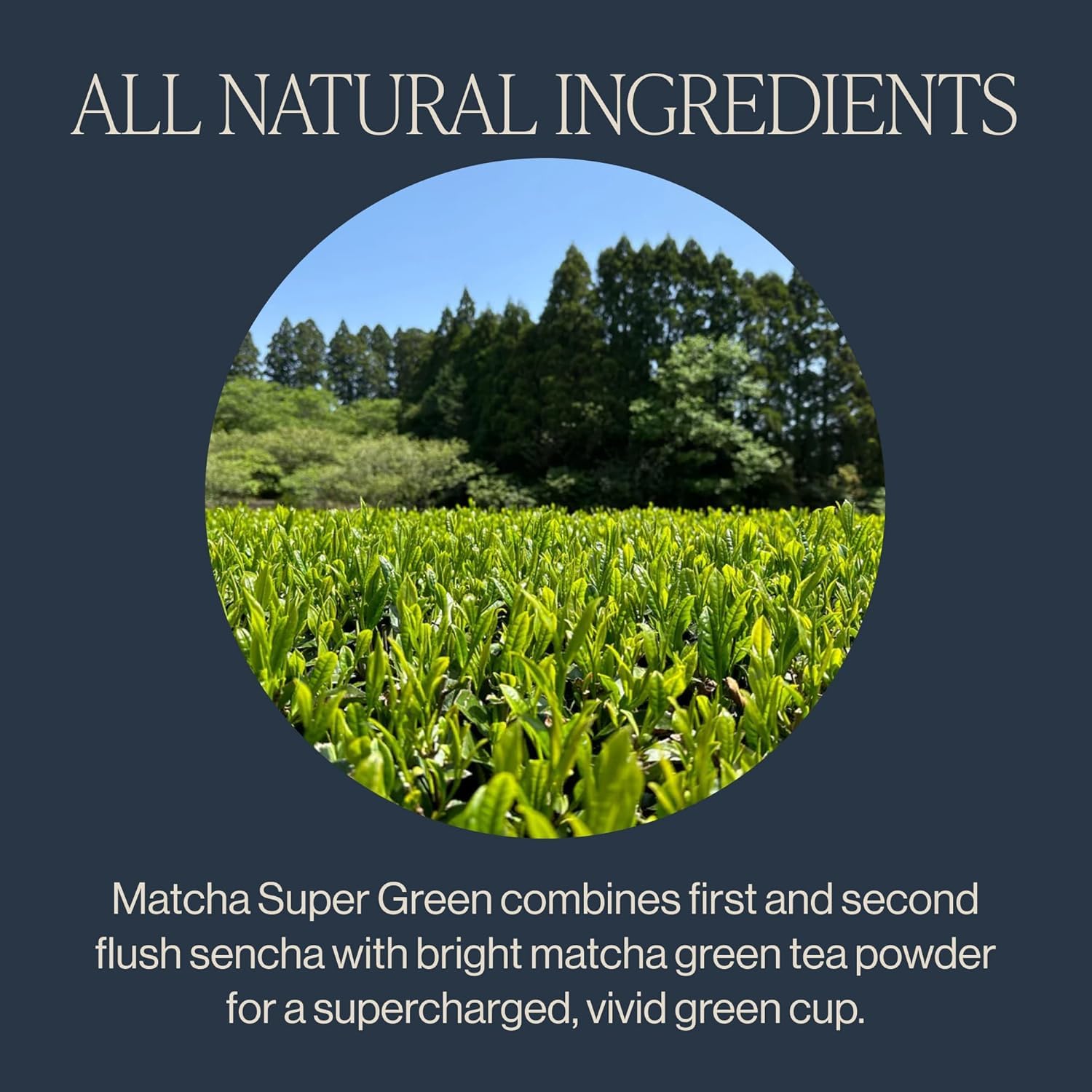 Rishi Tea Matcha Super Green Tea - Organic, Caffeinated Sachet Tea Bags, Umami Japanese Green Tea, Antioxidant Rich Sencha & Matcha Blend - 15 Count