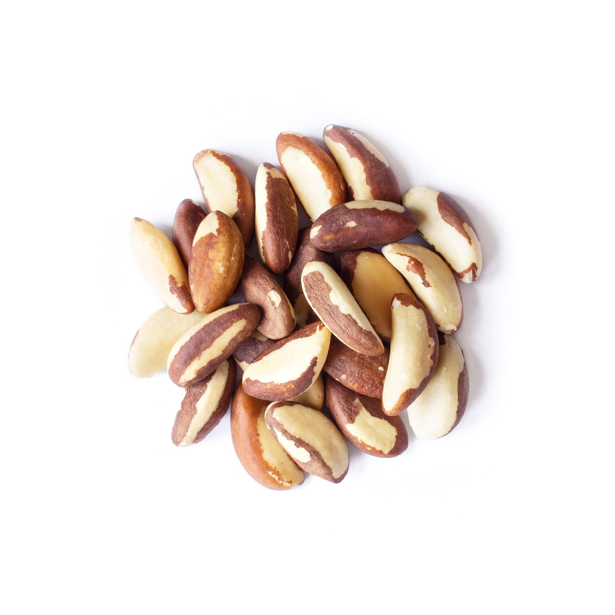 Food to Live - Organic Brazil Nuts, 2 Pounds Non-GMO, Raw, Whole, No Shell, Unsalted, Kosher, Vegan, Keto, Paleo Friendly, Bulk, Trail Mix Snack, Good