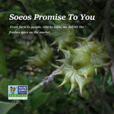 Soeos Star Anise Seeds 6oz (170g), Non-GMO Verified, Great for Baking and Tea, Anis Estrella, Whole Chinese Star Anise Pods, Dried Anise Star Spice