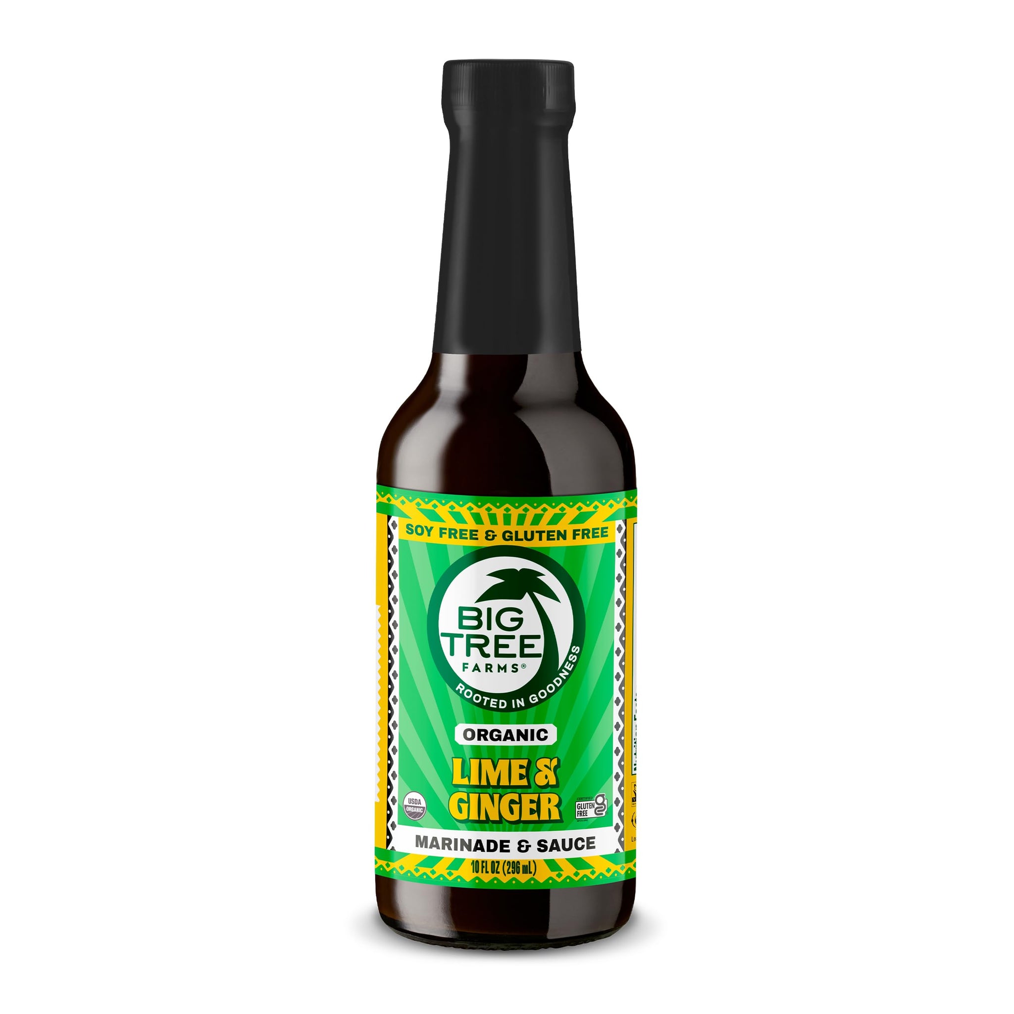 Big Tree Farms Organic Coco Aminos - Liquid Coconut Aminos, Soy-Free Sauce, Low Sodium, Soy Alternative, Gluten Free, Kosher, Marinade & Sauce