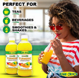Home Choice Jamaican Turmeric Ginger Extract/Flavouring - 454ml (16oz) (Single)