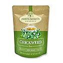Palm Beach Medicinal Herbs - Chickweed Tea - Pure Herbal Tea Series, 30ct