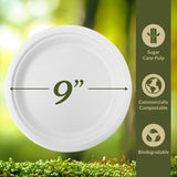 Reli. Compostable Paper Plates 9 Inch (140 Pack Bulk) White Disposable Plates 9" | Heavy Duty Paper, Eco-Friendly | Made of Sugarcane Fibers/Bagasse