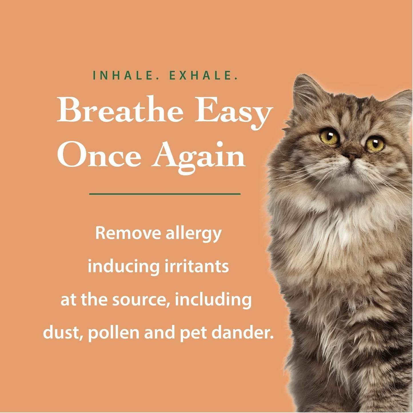 Anti-Allergy Laundry Detergent| Natural Allergy Free for Pet Dander Allergy & Pollen |For Sensitive Skin & Washing Baby Clothes |Unscented