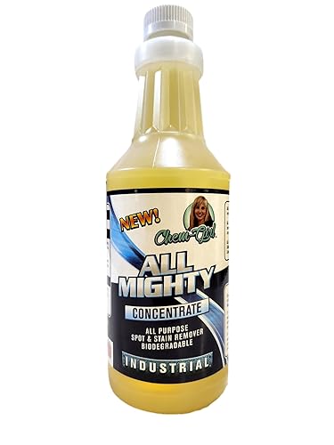 Chem-Girl | ALL MIGHTY CONCENTRATE -Super Strength Biodegradable Spot & Stain Remover + Multi-Surface Spray Cleaner for Tough Indoor/Outdoor Jobs |