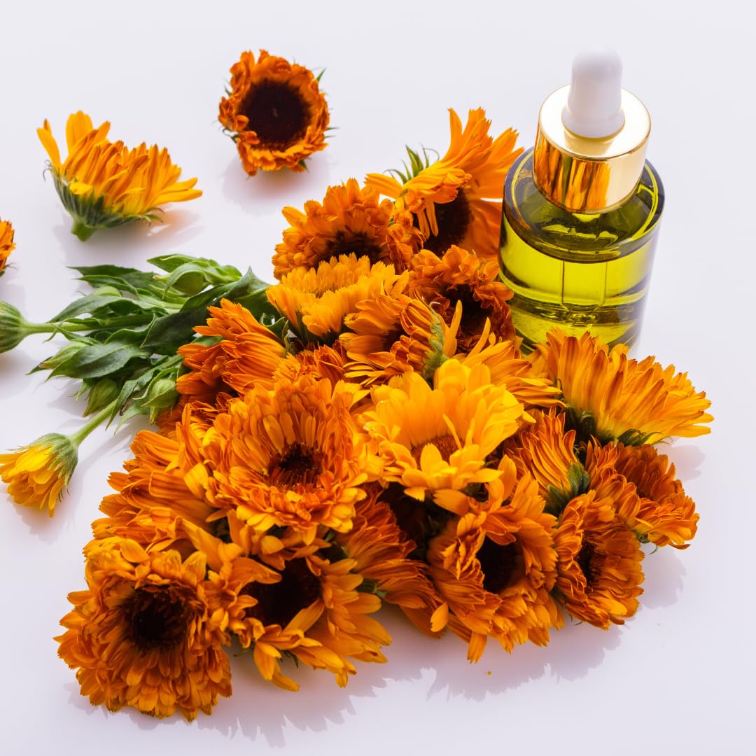 Jovvily Arnica Flowers - 8oz - Dried Whole Flowers - Decorative Flowers