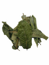 Guava Dried Whole Leaves , 2 oz , Guava Leaves , Guava Leaf Tea , Hojas De Guayaba 2 oz, Resealable Bag , Product From Mexico , Packaged in the USA.