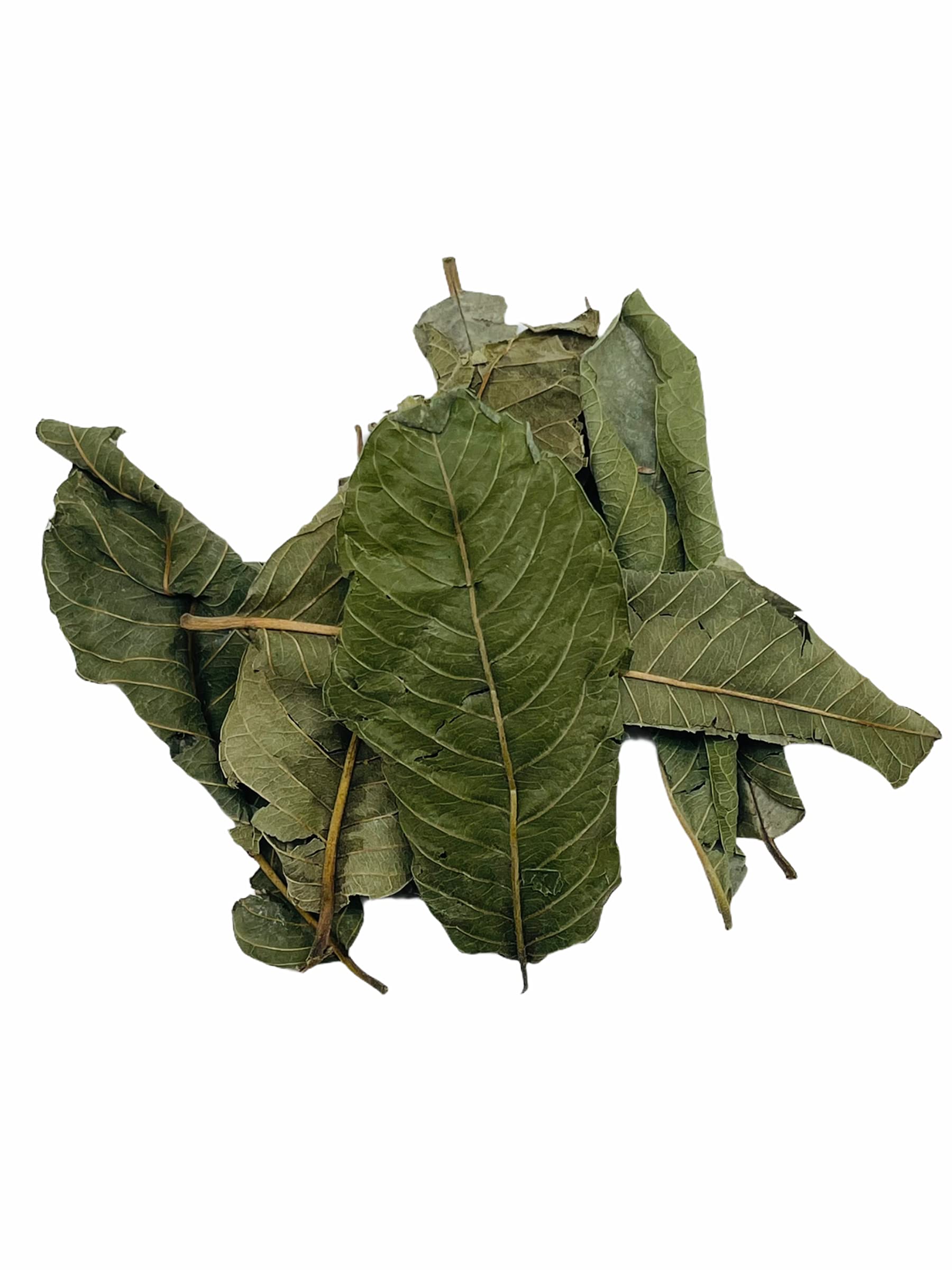 Guava Dried Whole Leaves , 2 oz , Guava Leaves , Guava Leaf Tea , Hojas De Guayaba 2 oz, Resealable Bag , Product From Mexico , Packaged in the USA.