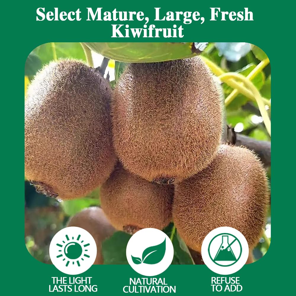 Freeze Dried Kiwifruit, 10.6oz, 100% Natural No Additives, Sweet Crispy Ready-to-Eat Snack