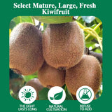 Freeze Dried Kiwifruit, 10.6oz, 100% Natural No Additives, Sweet Crispy Ready-to-Eat Snack