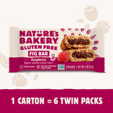 Nature’s Bakery Gluten Free Fig Bars, Raspberry, Real Fruit, Vegan, Non-GMO, Snack Bar, 1 box with 6 twin packs (6 twin packs)