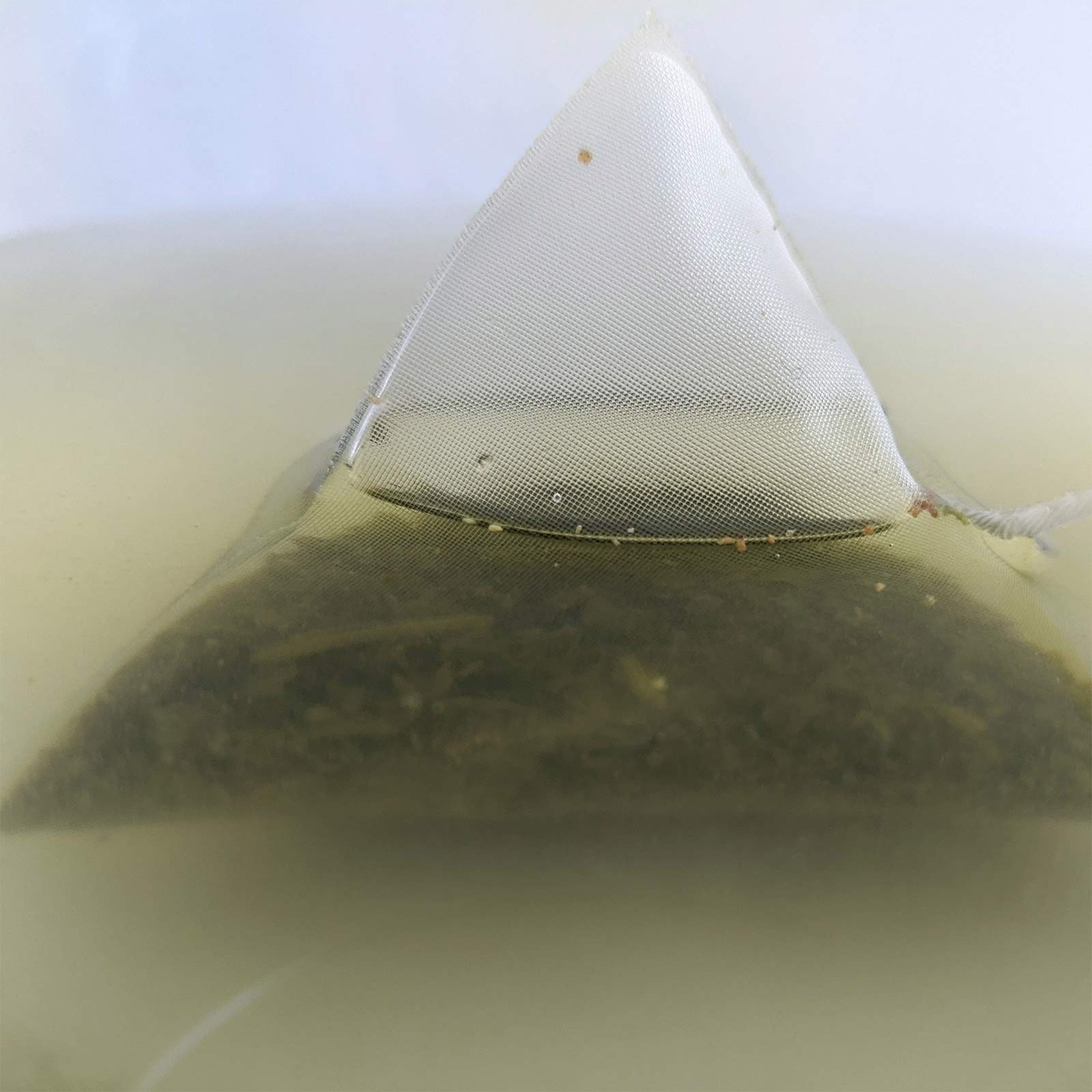 Organic Japanese Ginger Beni (Shoga Benifuki) 10 Tea Bags by Tea Kitamura