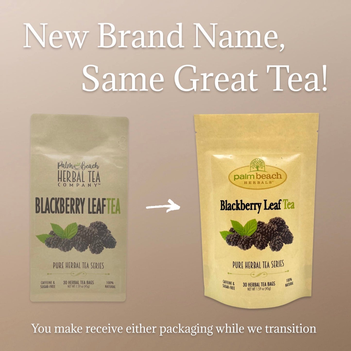 Palm Beach Medicinal Herbs - BlackBerry Leaf Tea - Pure Herbal Tea Series, 30ct