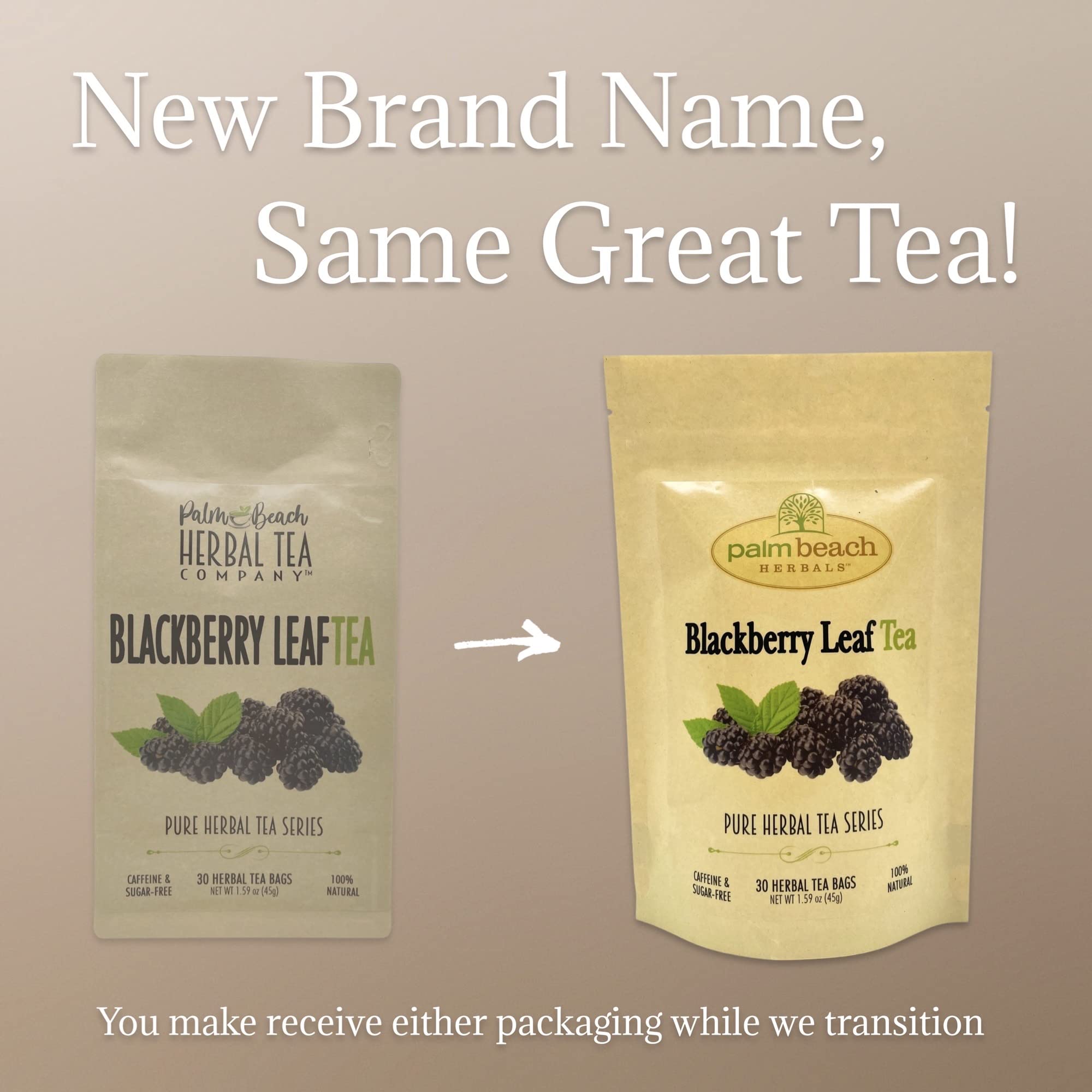 Palm Beach Medicinal Herbs - BlackBerry Leaf Tea - Pure Herbal Tea Series, 30ct