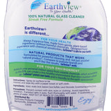 Earthview Glass Cleaner, Fragrance Free, 2 pk/ 32 oz- Designed for Environmental Sensitivities (MCS, EI, MI)