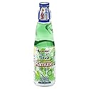 Kimura Ramune Japanese Carbonated Soft Drink Melon Flavor 6.76 Fl Oz | Case of 18