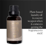L'AVANT Collective | Essential Oils for Laundry - Dryer Balls Scents - Scented Fragrance Essential Oil Drops | Laundry Oil - Ambre Santal