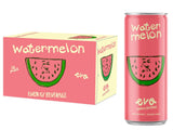 Evo Energy Beverage Watermelon Natural Juice Drink with Vitamin C, Electrolytes & Antioxidants, Energy drink Low-Calorie, Zero Cholesterol Sweet
