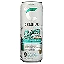 Celsius 12oz SS - Playa Vibe