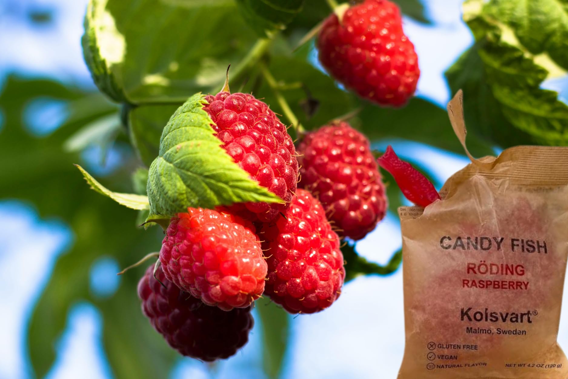 Kolsvart Raspberry Swedish Candy - Vegan & Gluten-Free Gummies with Natural Fruit Flavor - Scandinavian Gummy Candy - 4.2 oz Each (Pack of 5)