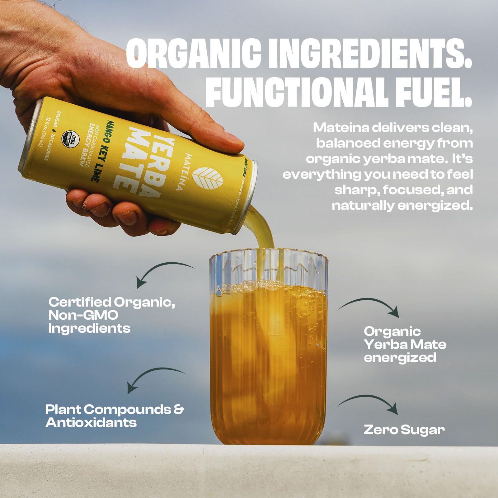 Mateina Organic Mango Key Lime Yerba Mate, 12 Fl Oz