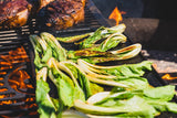 Chef Fritz Seasoning Spice: Primal Herb Spice