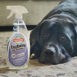 Restore Naturals Enzaway Spot Remover Spray - 22oz - Stain Treater Spray, Rug Cleaner, and Laundry Stain Remover | Plant Based | Biodegradable | Non