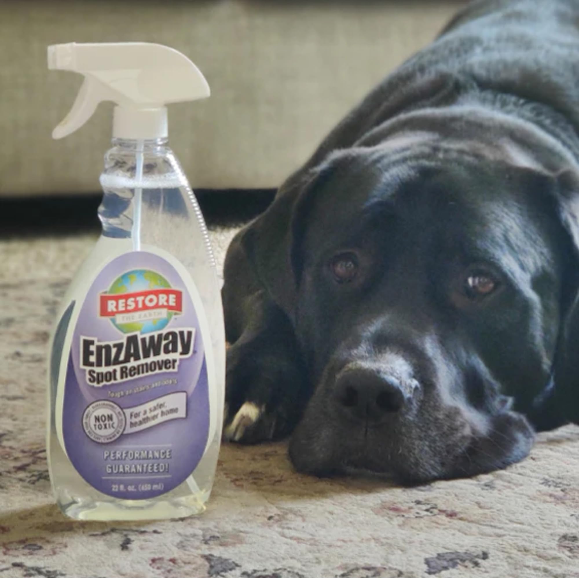RESTORE NATURALS Stain Treater Spray, Rug Cleaner, and Laundry Stain Remover - Natural, Renewable, Plant-Based, Biodegradable Formula - Manufactured
