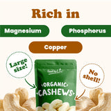 Food to Live Organic Cashews, 2 Pounds - Whole, Size W-240, Unsalted, Non-GMO, Kosher, Raw, Vegan, Bulk