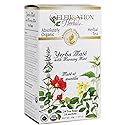 Celebration Herbals Teabags Herbal Yerba Mate with Morning Mint Tea Organic - 24 Herbal Tea Bags